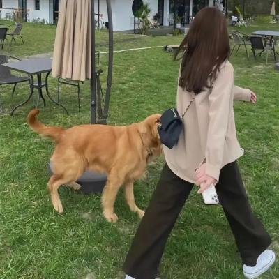 禁女大风波海报