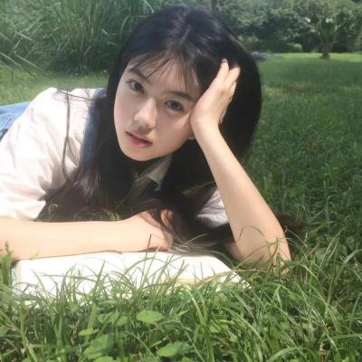 圣诞老人的小助手海报