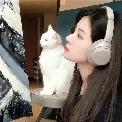 拦截火狐狸海报